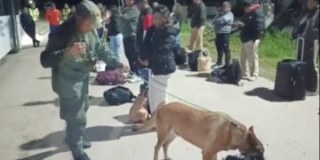 El can de Gendarmería detectó 10 kilos de cocaína ocultos en dos mochilas