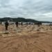Prefectura secuestró en Misiones más de 3 toneladas de marihuana