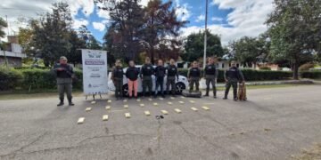 Fingieron ser turistas y traficaban 25 kilos de cocaína