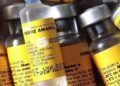 Salta recibe 20 mil dosis de vacunas contra la fiebre amarilla
