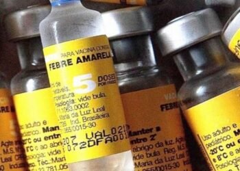Salta recibe 20 mil dosis de vacunas contra la fiebre amarilla