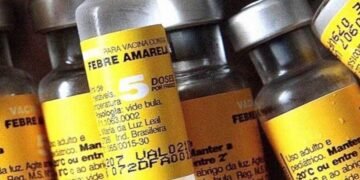 Salta recibe 20 mil dosis de vacunas contra la fiebre amarilla