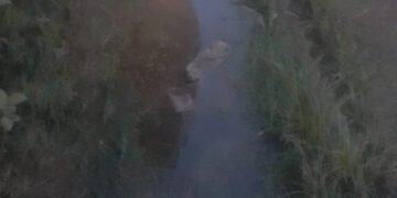 Vecinos denuncian el mal estado de una vereda