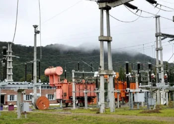 Transnoa afirma que si invierte y se despega de los cortes en el norte