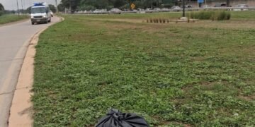 Mantenimiento y limpieza en el acceso norte a Orán