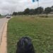 Mantenimiento y limpieza en el acceso norte a Orán