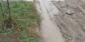 Vecinos denuncian una pérdida de agua