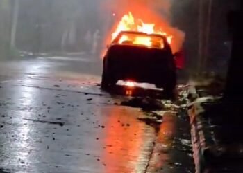 Se prendió fuego un auto en la vía pública