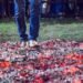 Barrio San Juan: Tradicional paso por las brasas