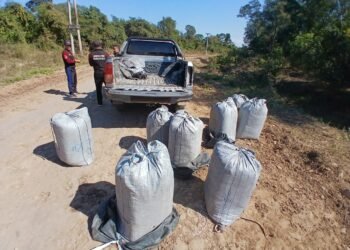 La policía incautó 160 kilos de hojas de coca en Orán