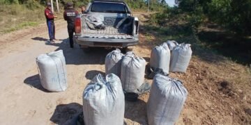 La policía incautó 160 kilos de hojas de coca en Orán