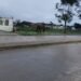 Caballos sueltos en la vía pública