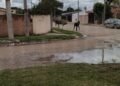 Siguen los caballos en las calles de Orán