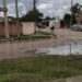 Siguen los caballos en las calles de Orán