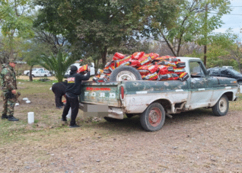Incautaron más de 770 kilos de carbón vegetal 