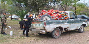 Incautaron más de 770 kilos de carbón vegetal 