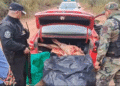 Decomisaron 140 kilos de carne en Tartagal
