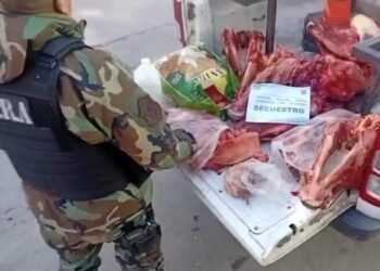 La policía incautó más de 200 kilos de carne no apta para el consumo 