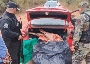 Decomisaron 140 kilos de carne en Tartagal