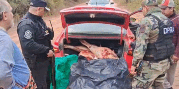 Decomisaron 140 kilos de carne en Tartagal