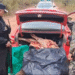 Decomisaron 140 kilos de carne en Tartagal