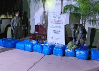 Tour de compras salió de Orán con 768 kilos de hojas de coca
