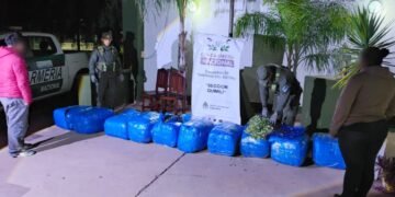 Tour de compras salió de Orán con 768 kilos de hojas de coca