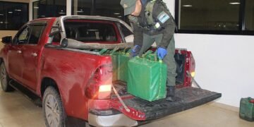Traficaba 470 kilos de cocaína en su camioneta