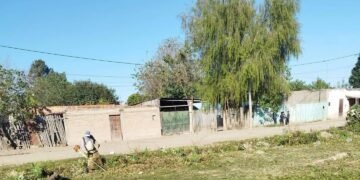 Trabajos de desmalezados en el Barrio 6 de Enero