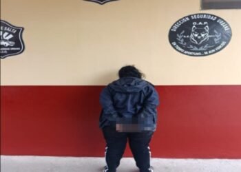 Tenía pedido de captura y fue detenida en Orán 