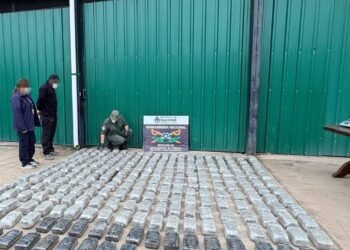 Gendarmería secuestró en Orán más de 268 kilos de droga