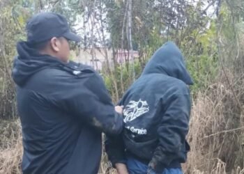 Un hombre fue detenido por el robo de un celular