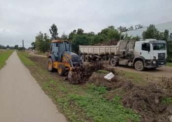 Limpieza de microbasurales en Orán