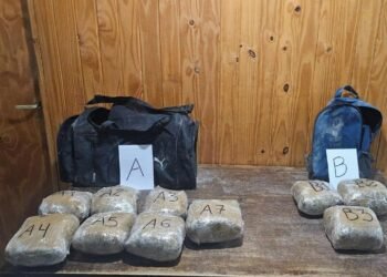 Gendarmería secuestró 10 kilos de marihuana
