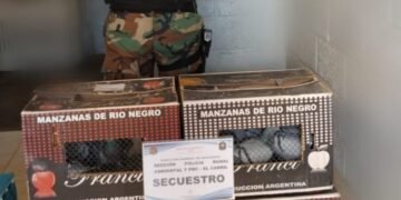 Llevaba 89 palomas mensajeras y fue infraccionado