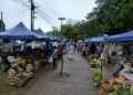 Los Pequeños Productores llegan hoy al Barrio Los Lapachos