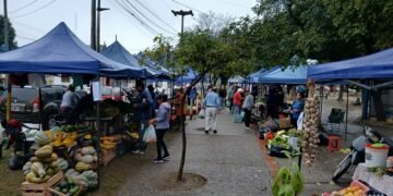 Los Pequeños Productores llegan hoy al Barrio Los Lapachos