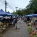 Los Pequeños Productores llegan hoy al Barrio Los Lapachos