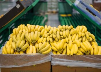 Una medida nacional expone a la producción bananera a desastres