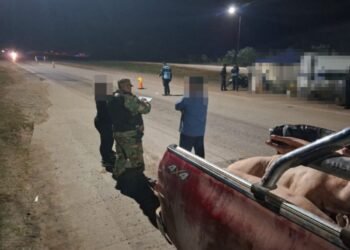 Secuestraron 400 kilos de carne no apta para el consumo humano en Orán