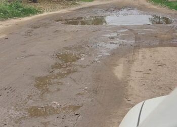 Vecinos denuncian una importante pérdida de agua