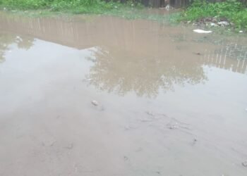 Vecinos denuncian por agua acumulada en las calles