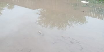 Vecinos denuncian por agua acumulada en las calles