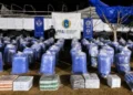 Secuestraron más de seis toneladas de hojas de coca