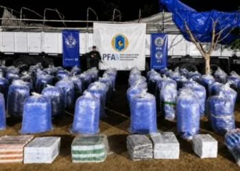 Secuestraron más de seis toneladas de hojas de coca