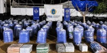 Secuestraron más de seis toneladas de hojas de coca