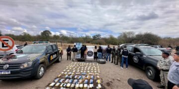 Secuestraron en Salta más de 191 kilos de cocaína