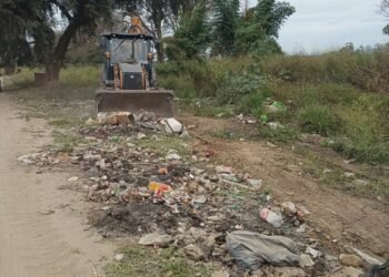 Sigue la limpieza permanente de la banquina en la Ruta 50