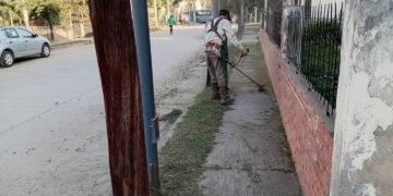 Limpieza y mantenimiento en el Barrio 402 Viviendas
