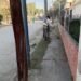 Limpieza y mantenimiento en el Barrio 402 Viviendas